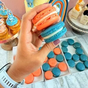 Box of 24 macarons in 2 colors and 3 flavors.